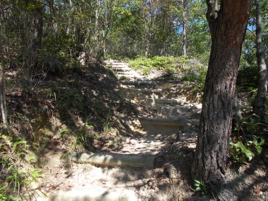 10：04　階段道へ