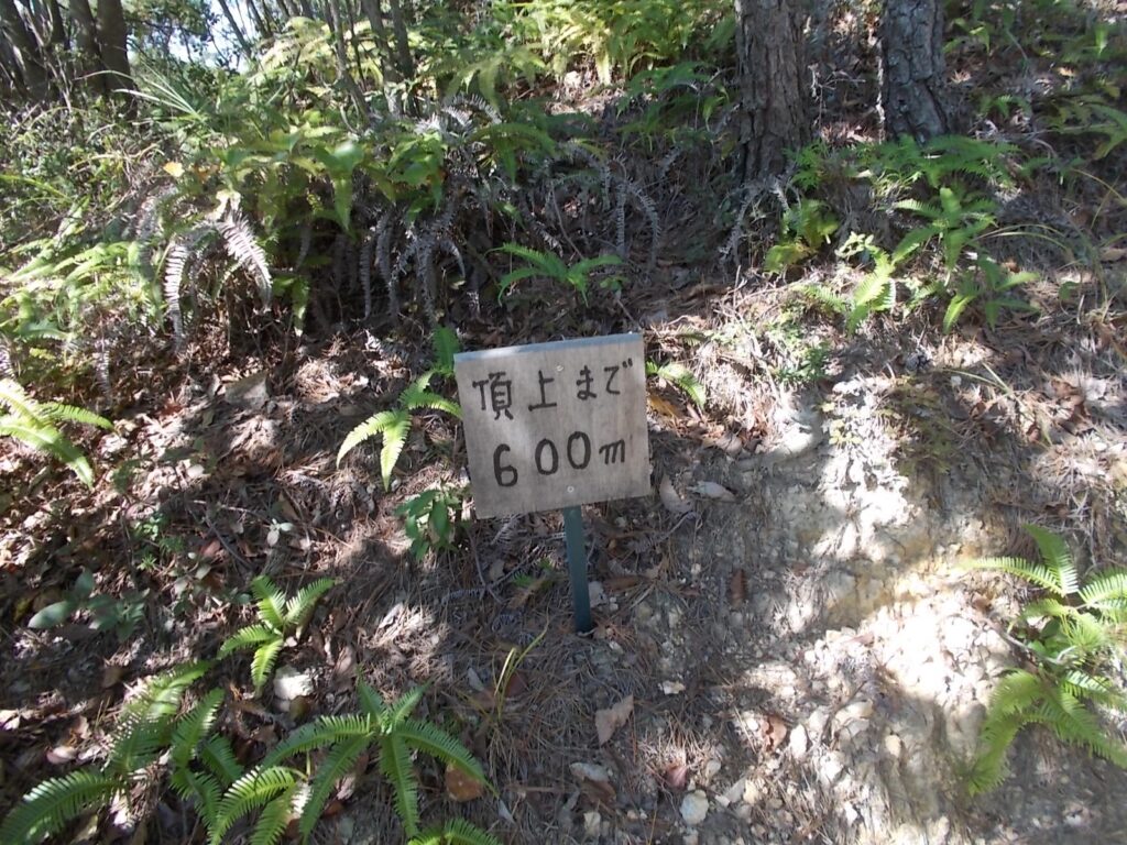 10：04　頂上まで600m