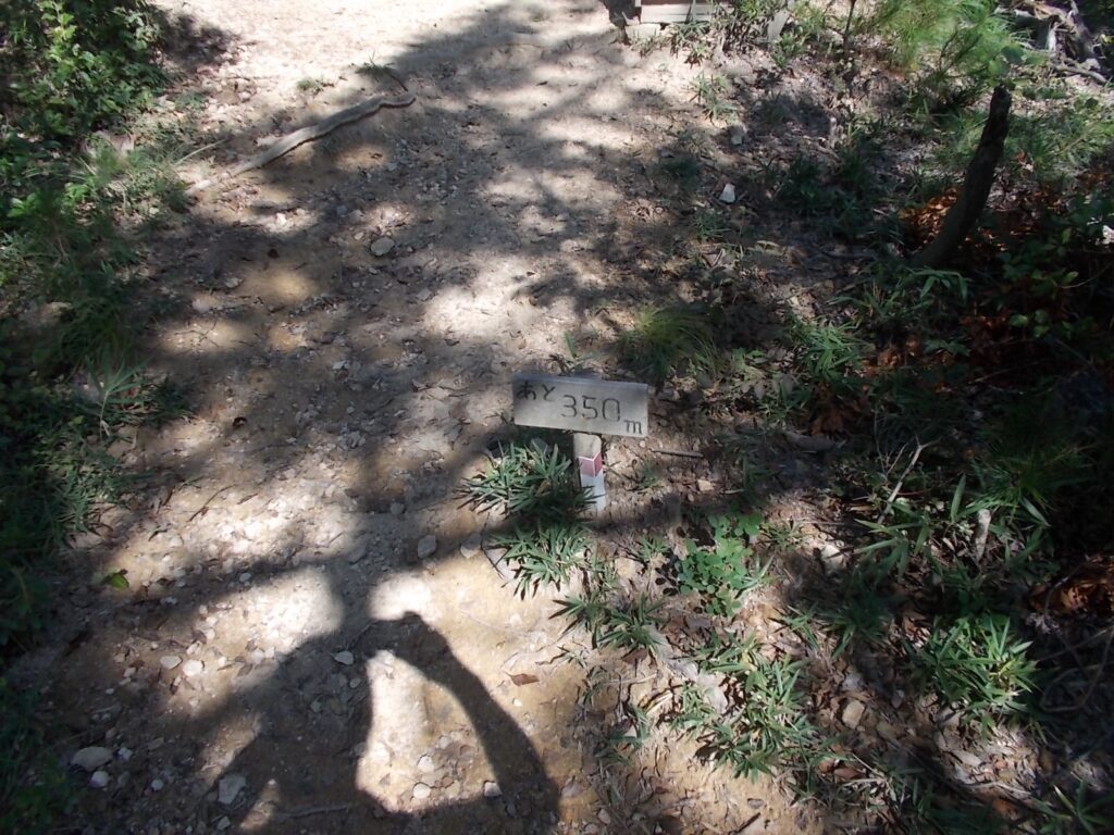 10：11　あと350m