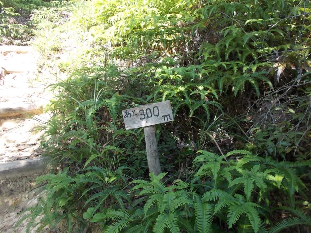 10：12　あと300m