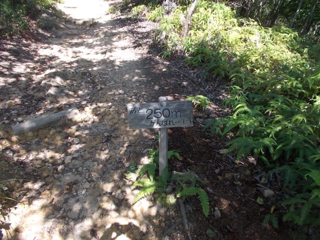 10：13　あと250m がんばれ〜