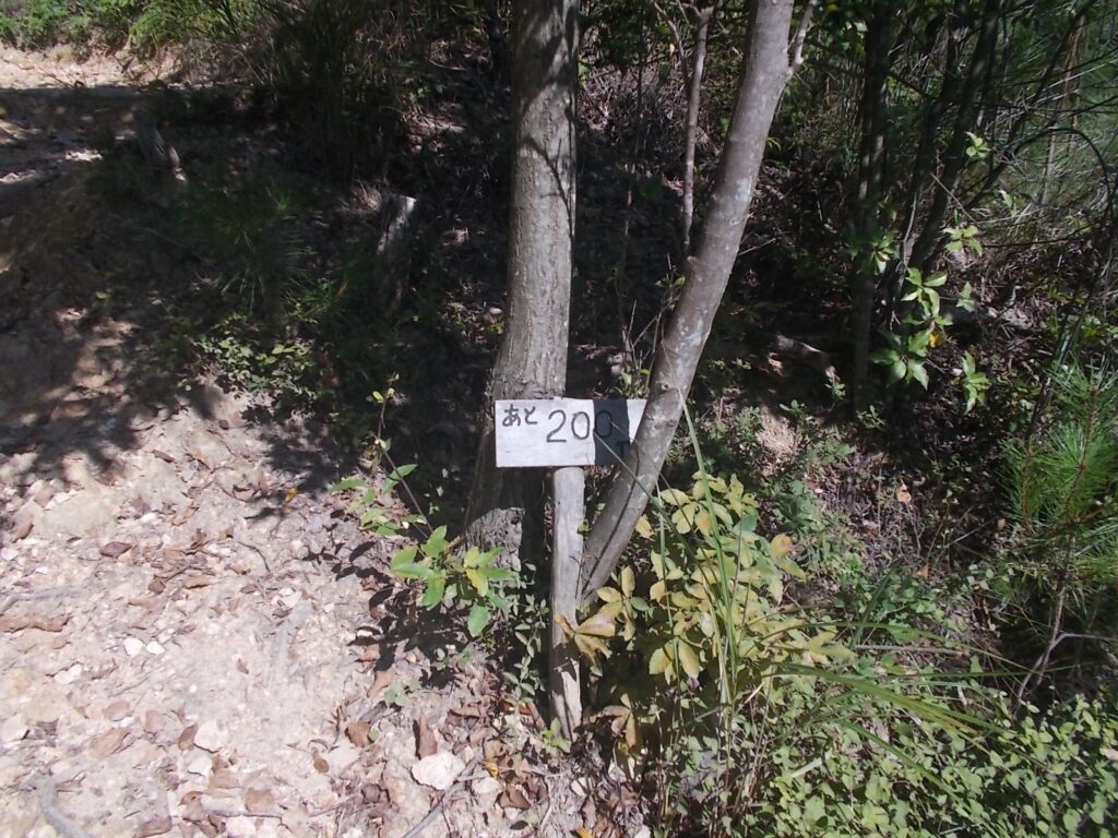 10：14　あと200m