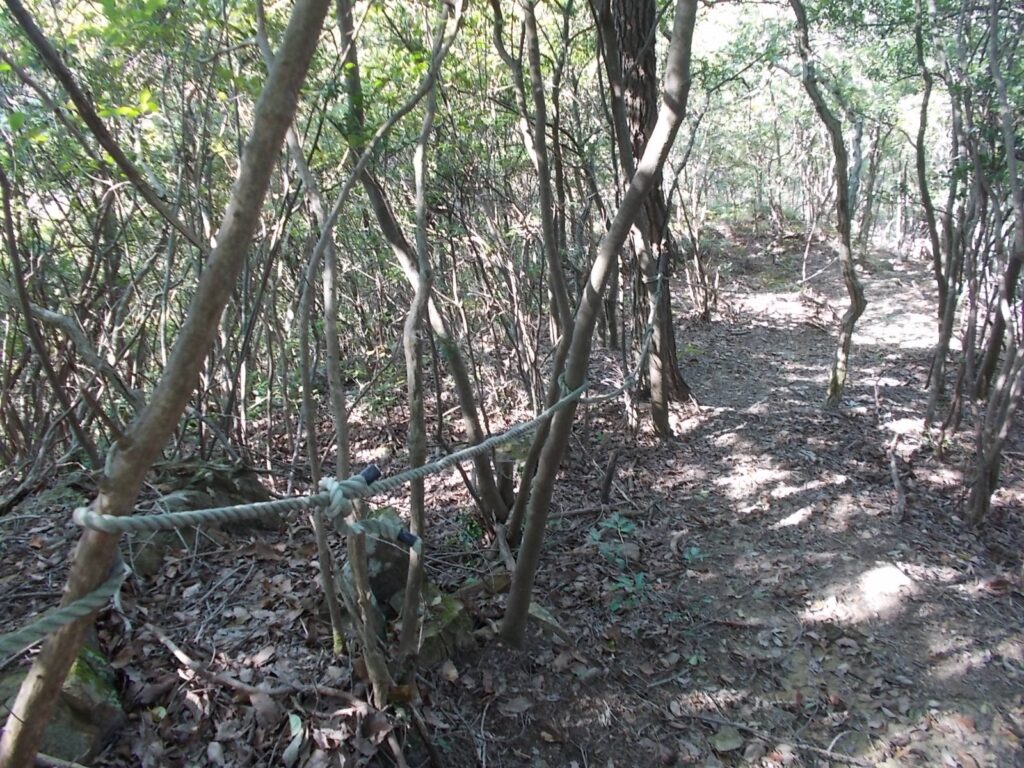 10：41　いきなりの急坂下り