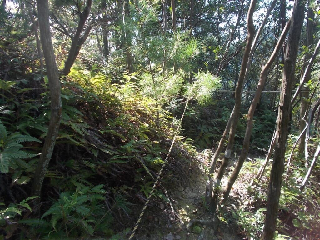 10：45　まだまだロープ場は続きます。