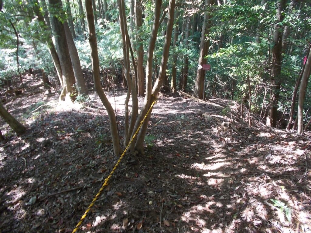 10：54　またロープが