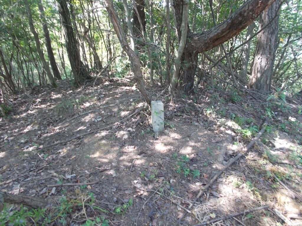 10：58　次のピーク