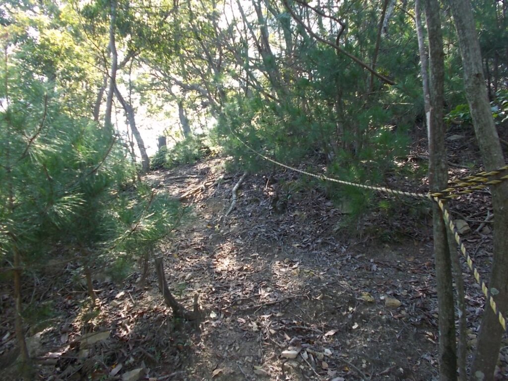 11：04　またまたロープの登場