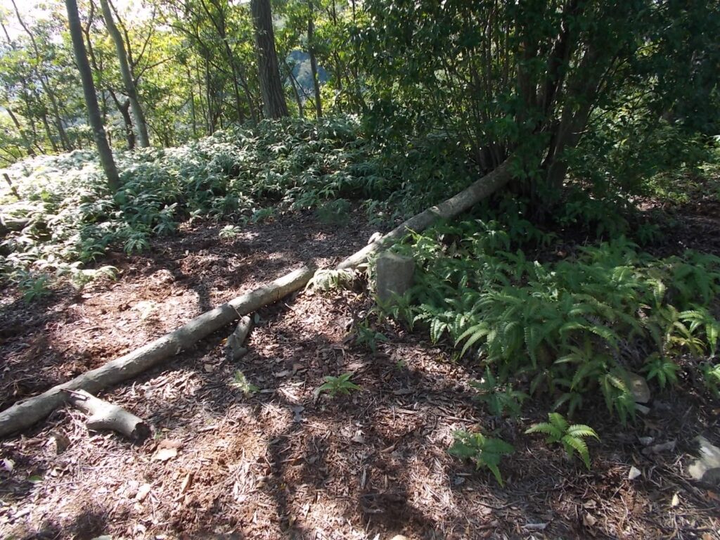 11：05　次のピーク　結構広いです。