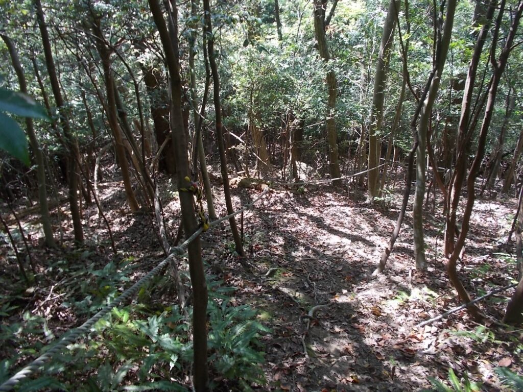 11：11　またまたまたロープが。