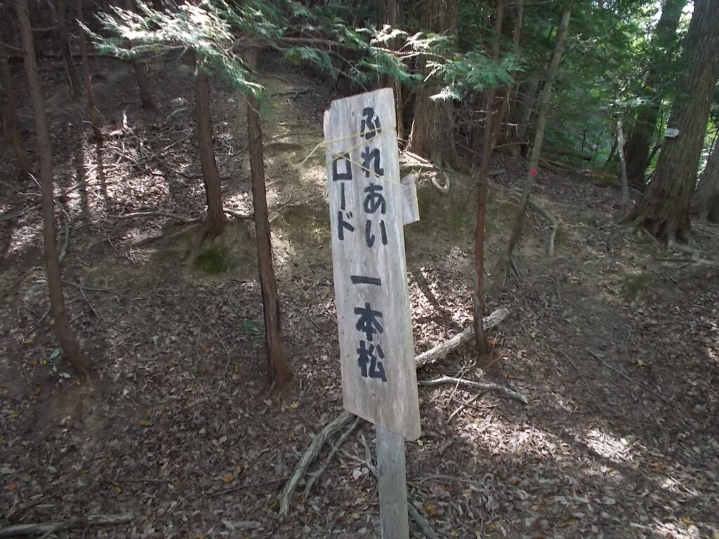 11：13　案内板。向かい（奥）はかなりの急登になります。ちょっと気持ちがめげて、ここから下山します。