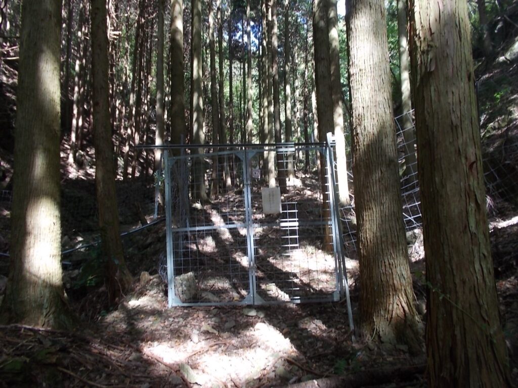 10：50　すぐにある獣柵。