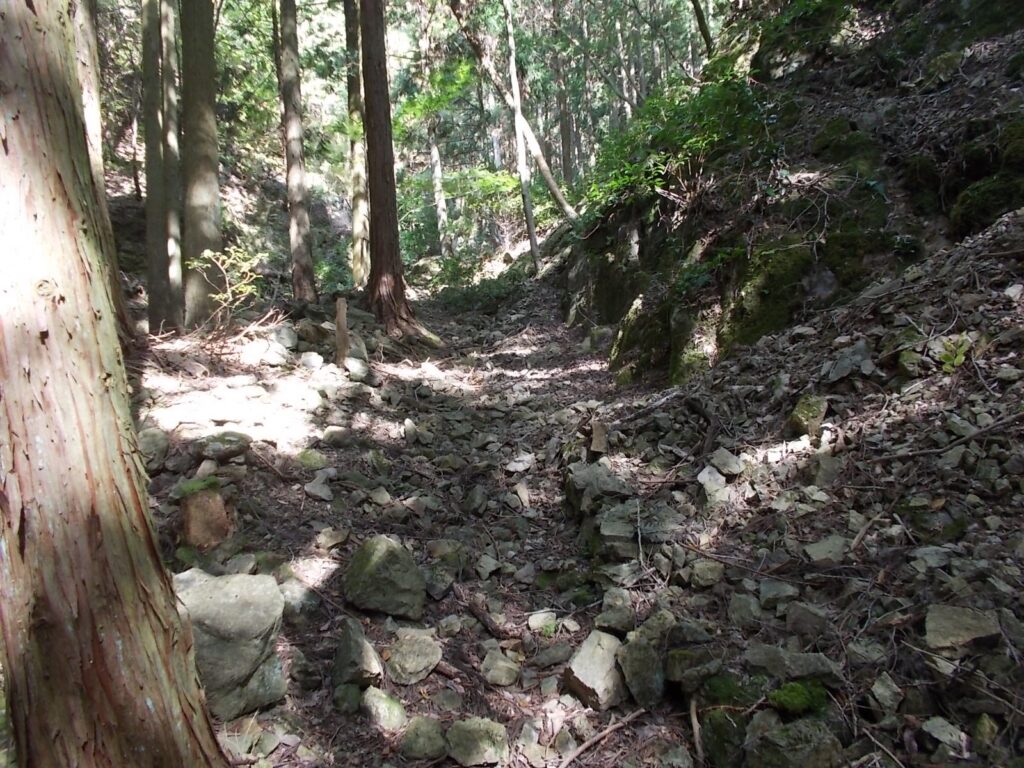 10：51　獣柵を抜けてすぐ右が正規ルートでした。こちらはなめらの谷広場へ向かいます。
