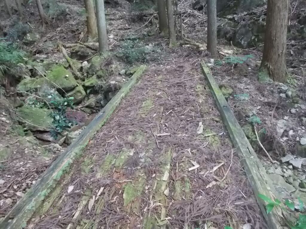 10：57　木の橋を渡ります