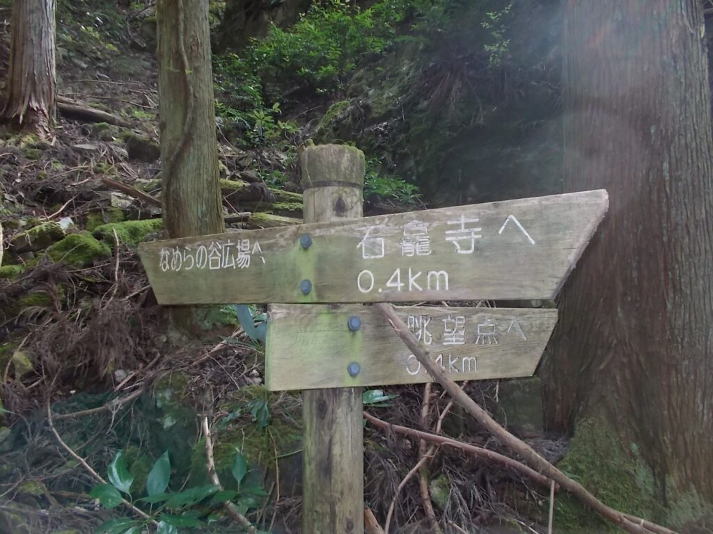 10：59　案内板。ここから眺望点へ向かえば良かったのですが。