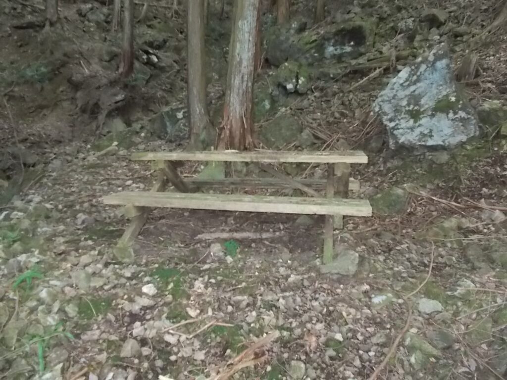 11：01　ベンチもあります。ここらあたりが、なめらの谷広場のようです。案内はありません。