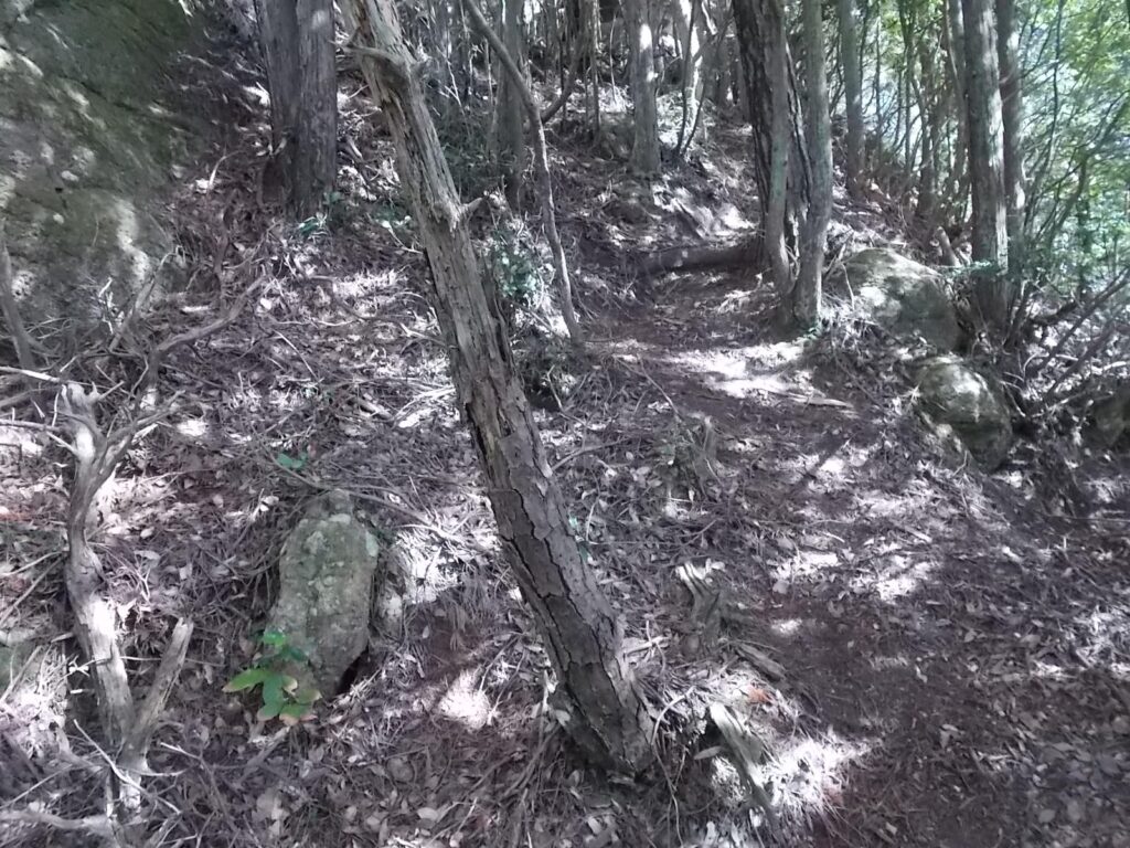 11：21　登れそうなので、ひたすら上へ。