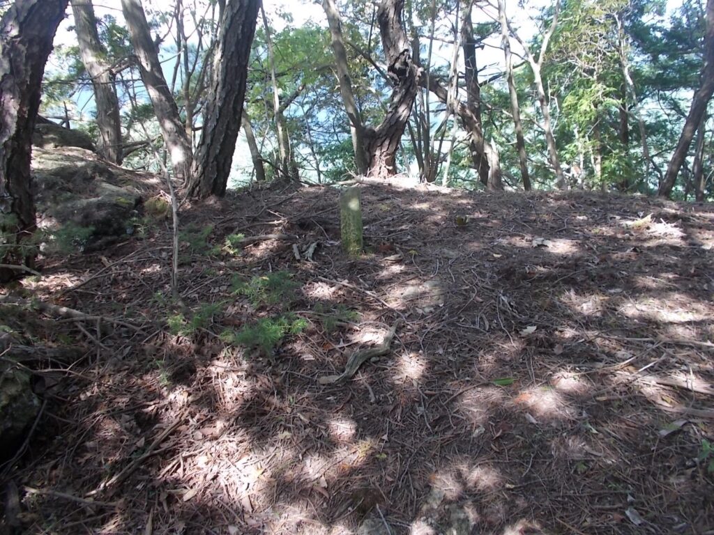 11：23　なんとか左の尾根筋に出ました。