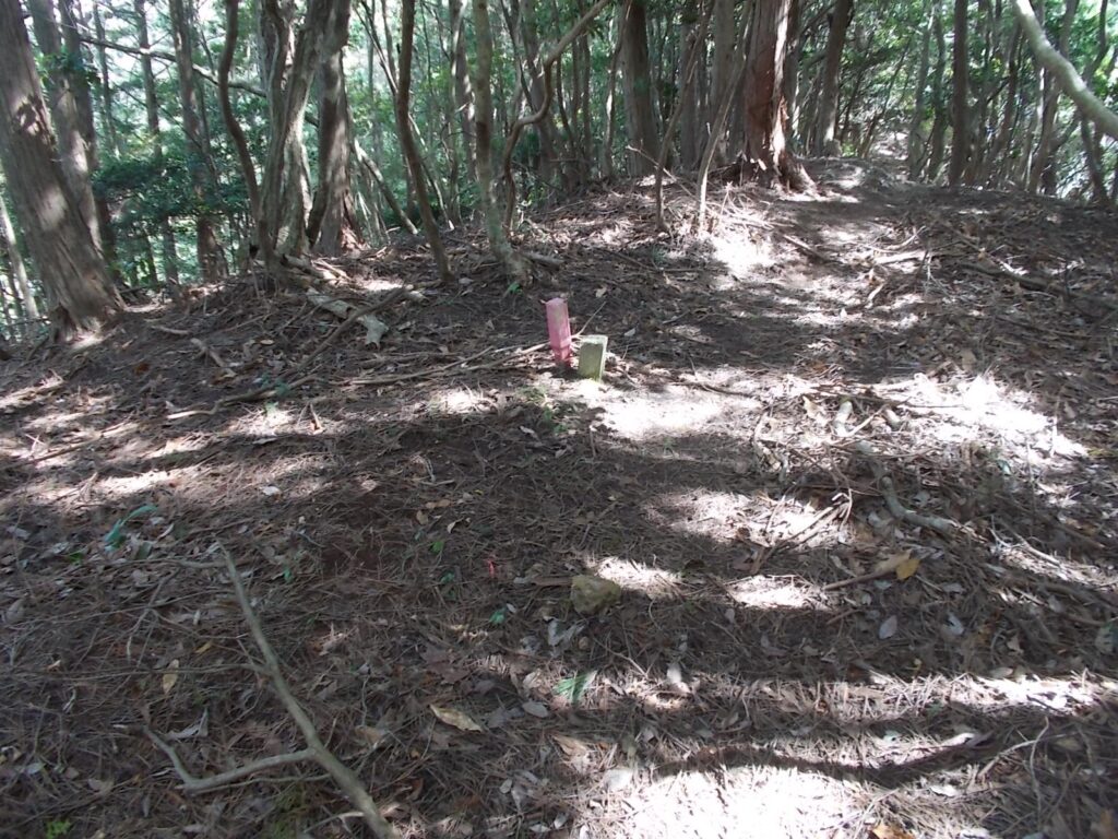 11：26　境界杭でしょうか。途中大きな岩がありました。重ね岩のようです。