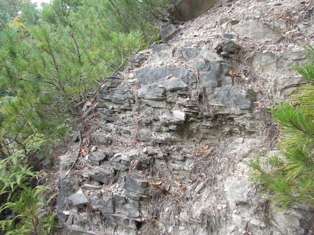 11：47　さらに進むと、平べったい石が多くなってきます。