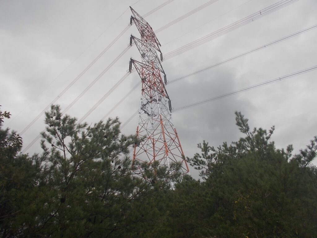 12：50　分岐。ここで間違いました。正解は右です。でも、まっすぐ行っちゃいますよね。でも行き着く先は絶壁の真上でした。