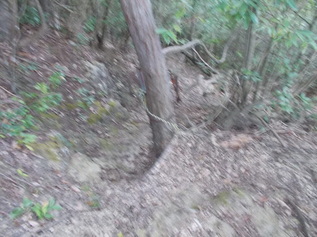 14：25　ロープ場