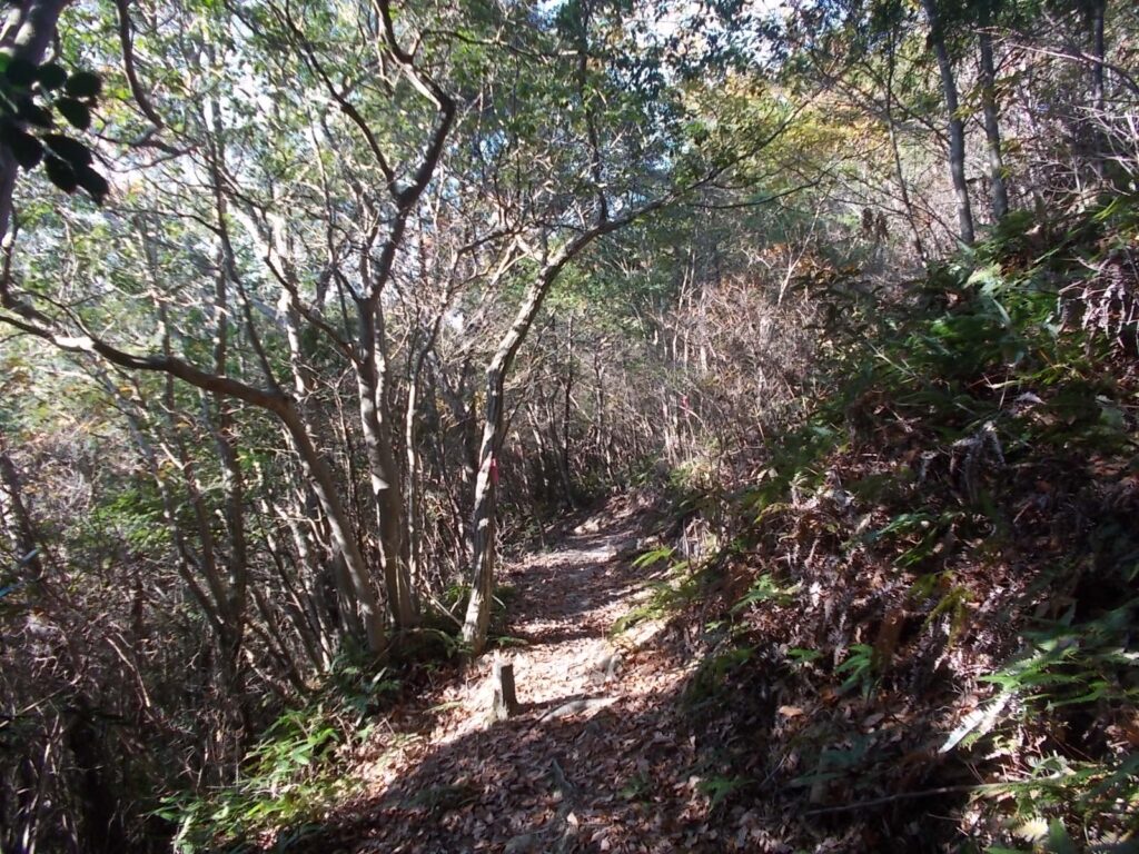 10：34　石碑から下へ下りると、登山道がありました。この道は仁王門手前から始まります。