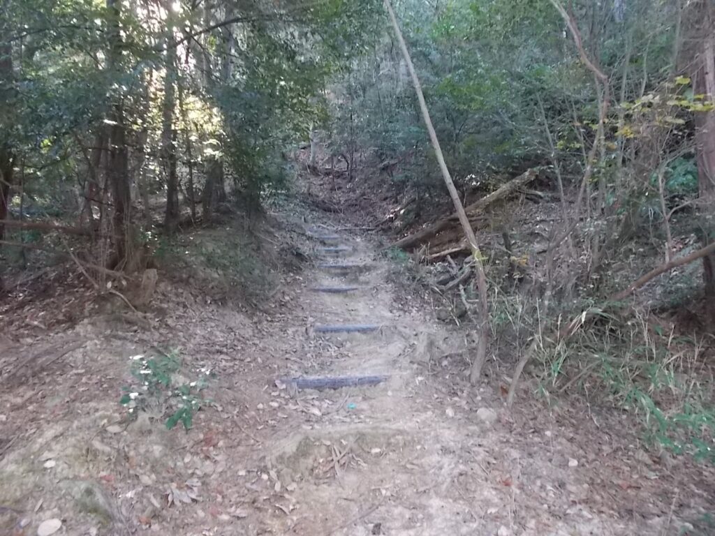 10:41　プラ階段を上ります。