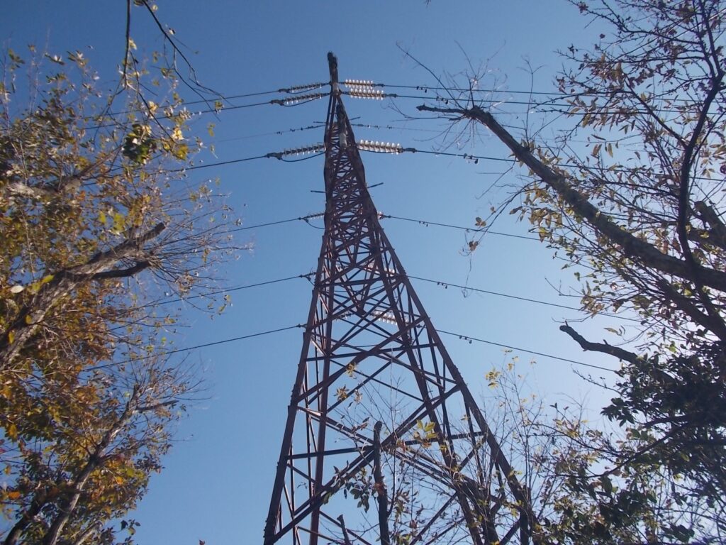 10：44　すぐに鉄塔に出ました。