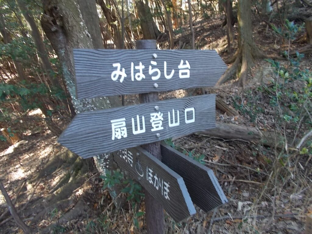 11：10　例の分岐。今度はみはらし台へ。