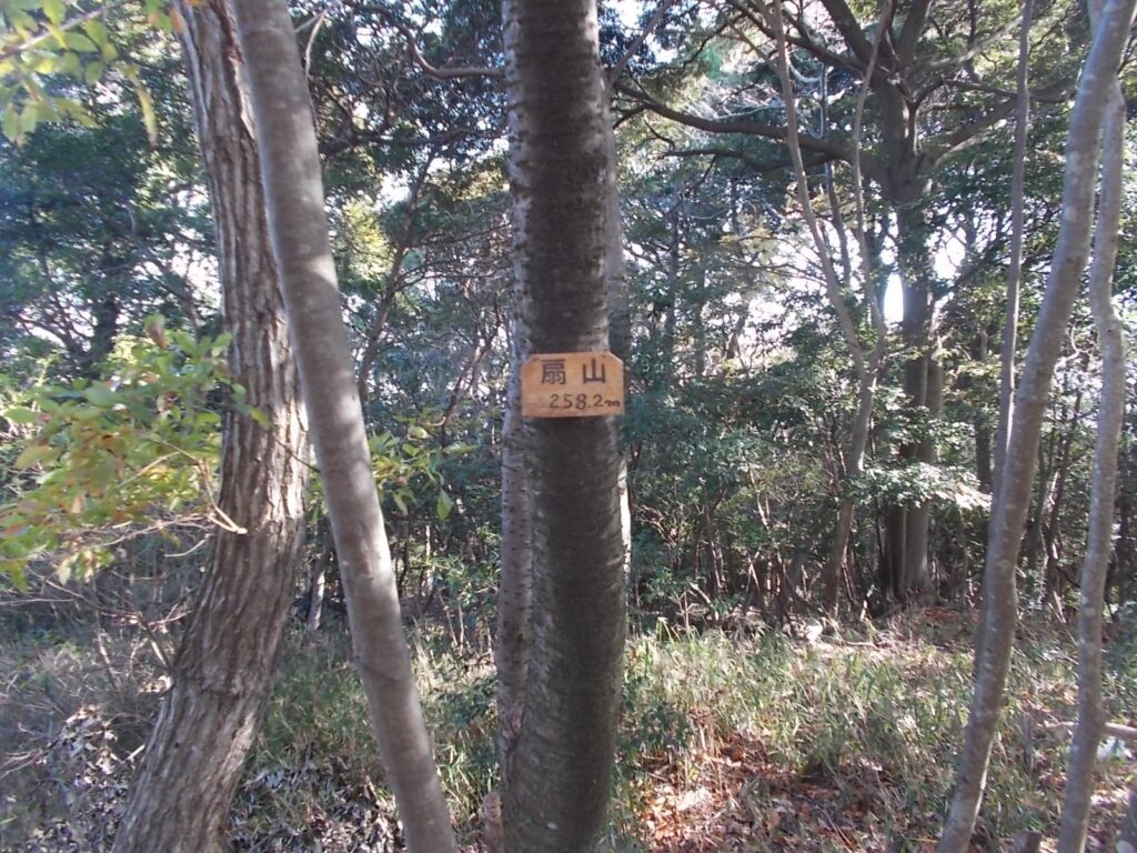 11：13　着いたのは見晴らしの悪い扇山山頂。みはらし台は見当たらない。それなら、山頂と書いとけ。