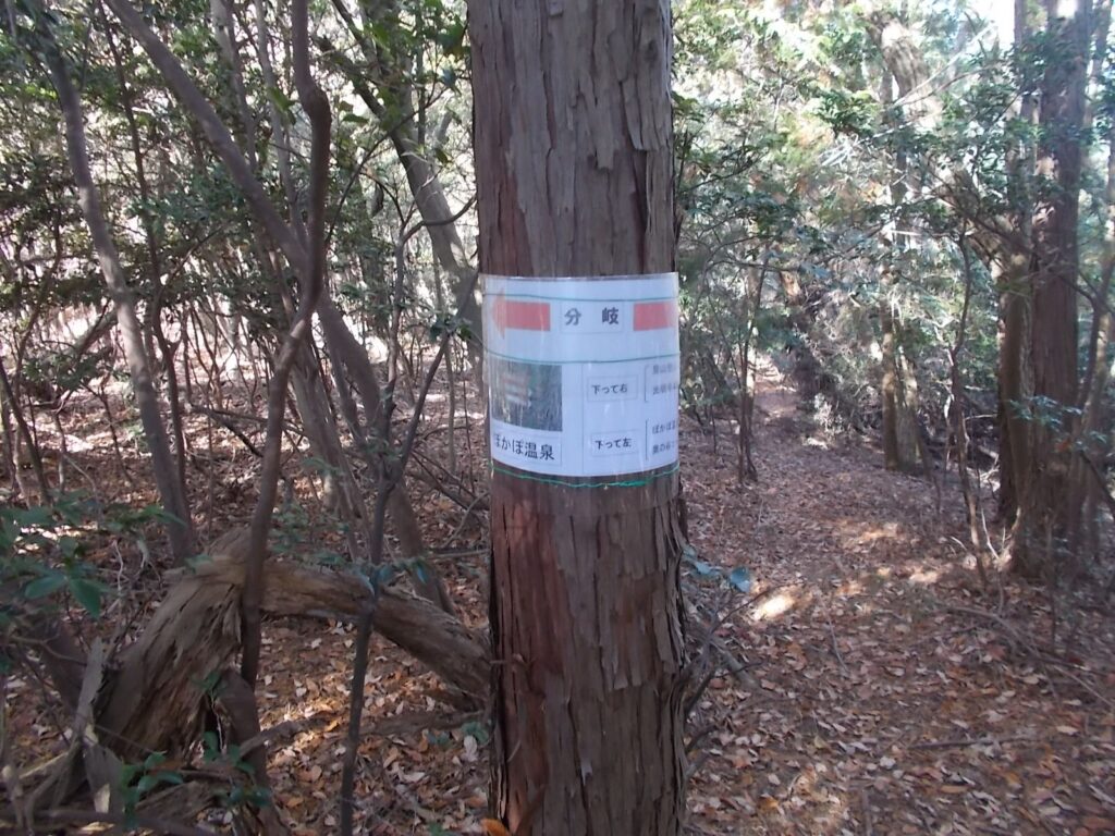 11：17　戻らず奥に進むと、分岐の案内。左右に分かれるようですが、同じ場所に出るようです。