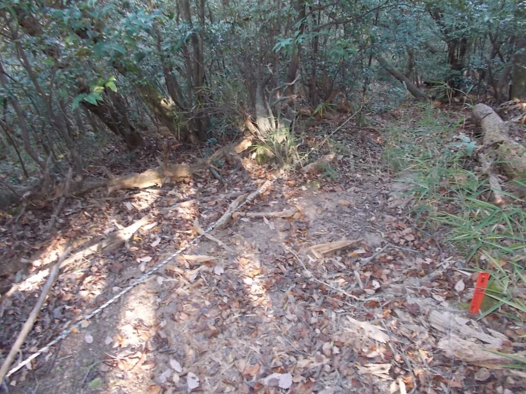 11：19　ロープのある下り斜面。