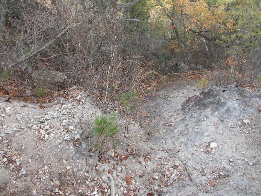 11：45　下りはザレ場に。滑りやすいのでご注意ください。