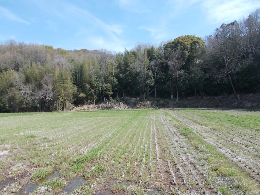 10：49　竹藪を突っ切るとこのあたりに出るようです。