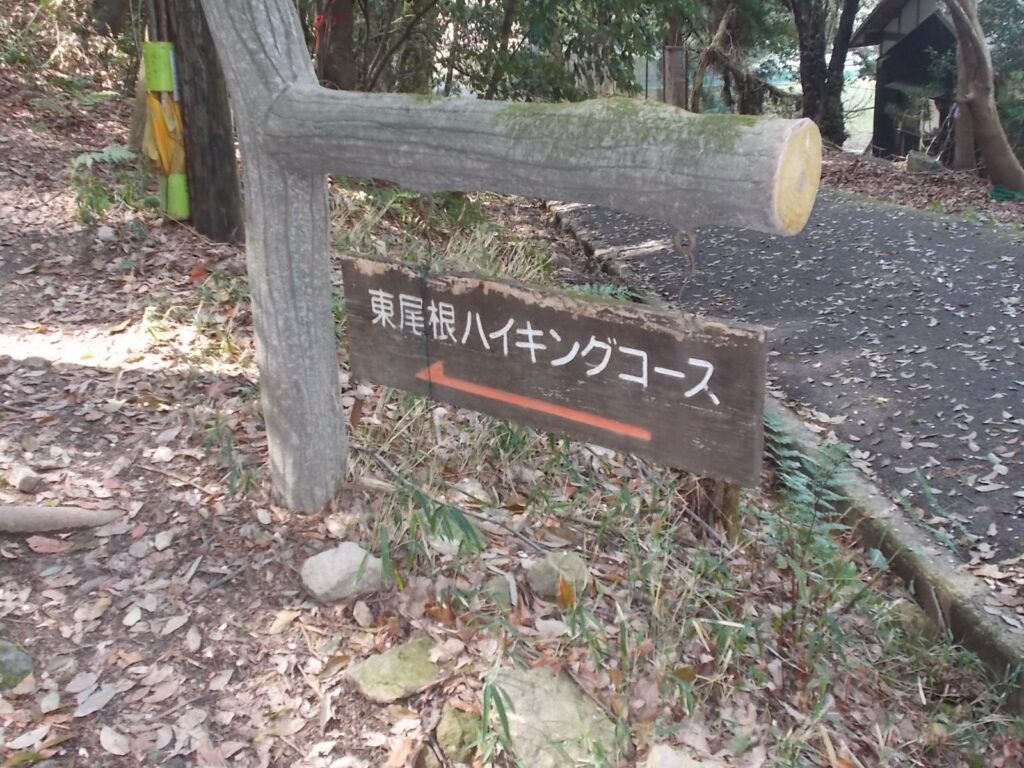 10：48　東尾根ハイキングコースの案内板
ここから登っていきます。
