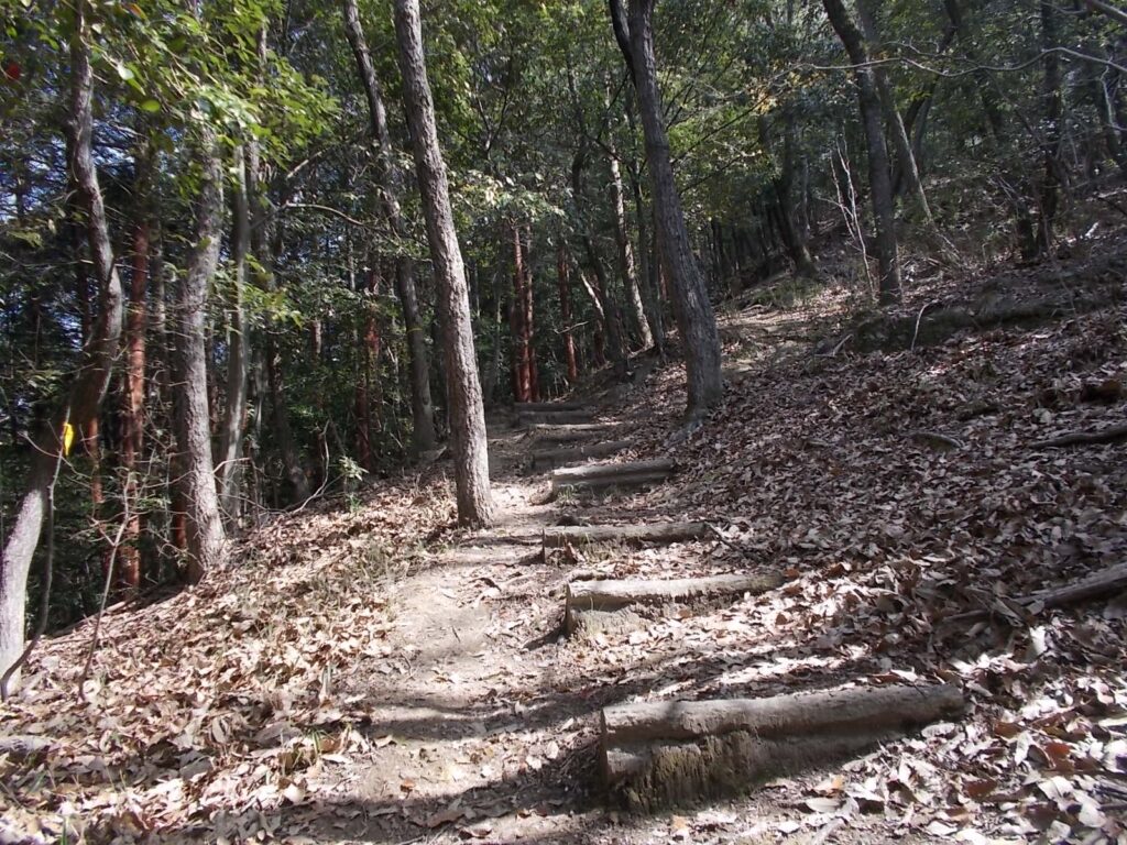 10：50　こんな感じのコースです。