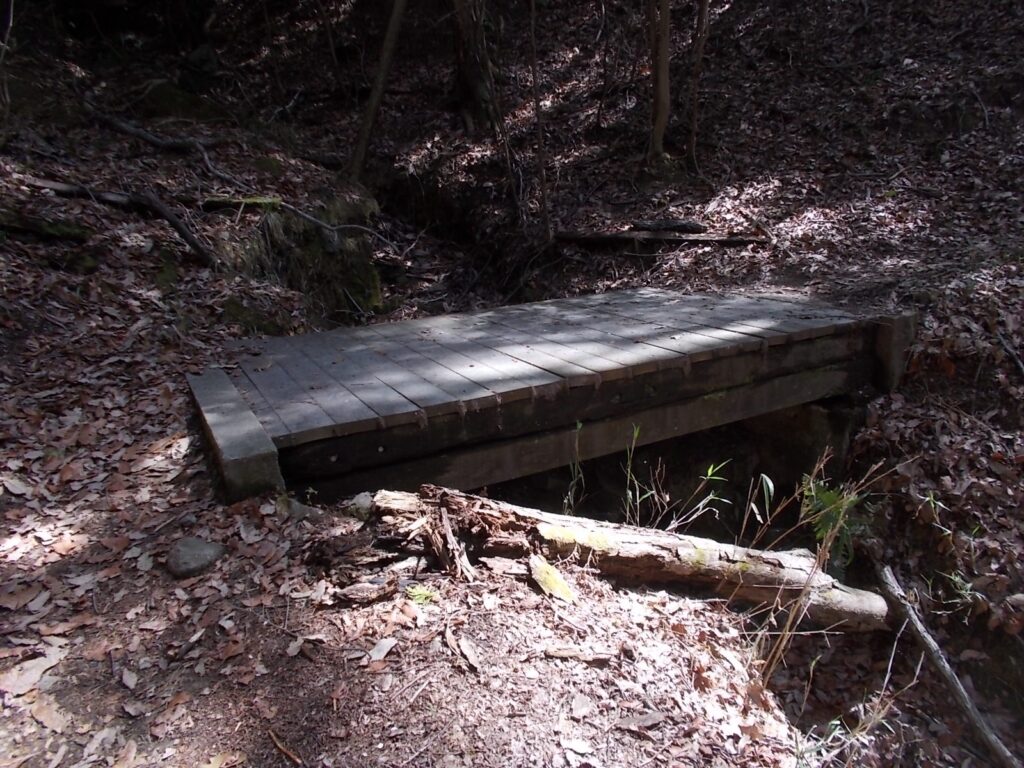 10：55　すぐに木の橋を渡ります。