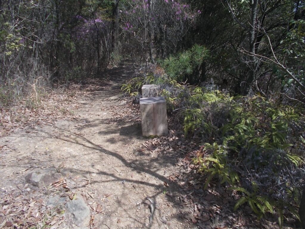 11：00　木の椅子