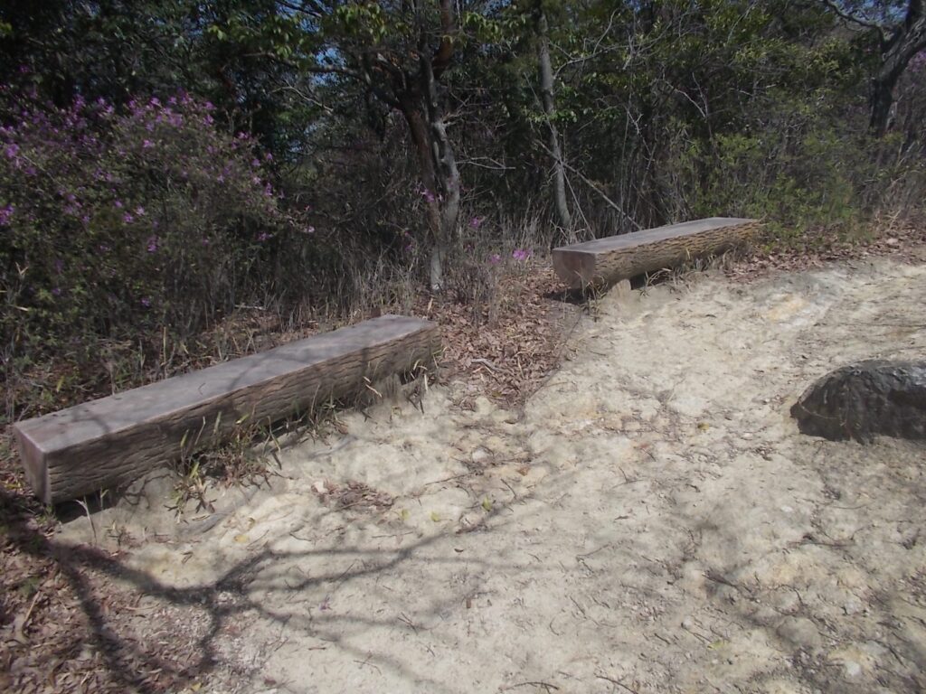 11：01　長椅子もあります。