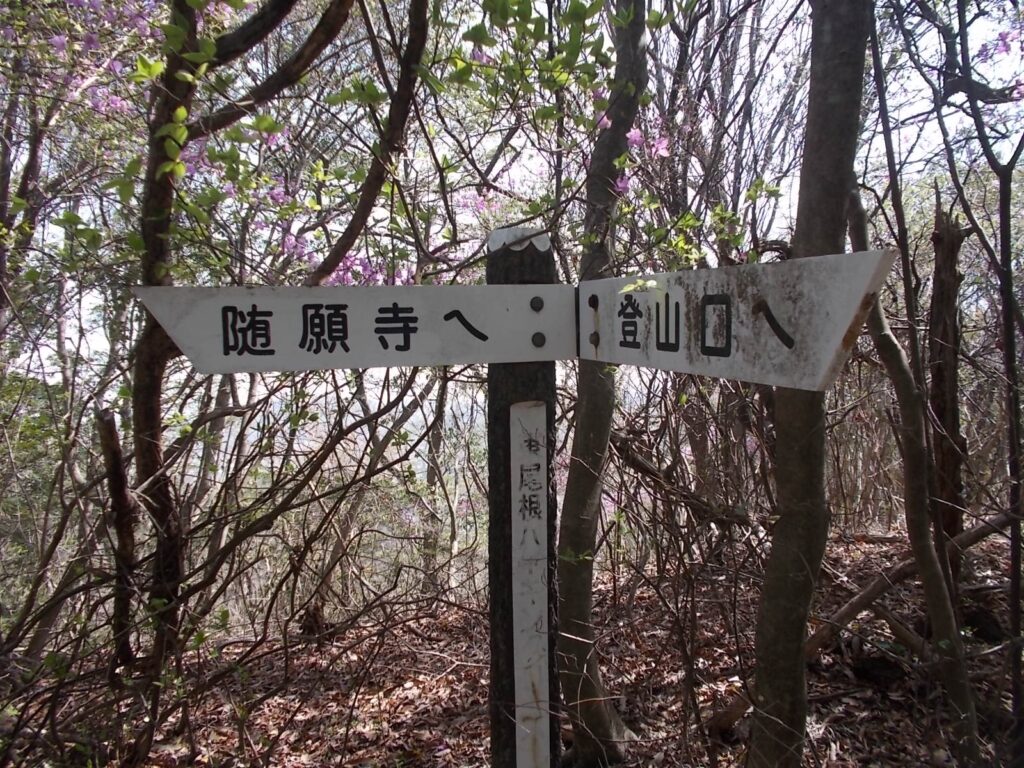 11：07　隋願寺への案内板