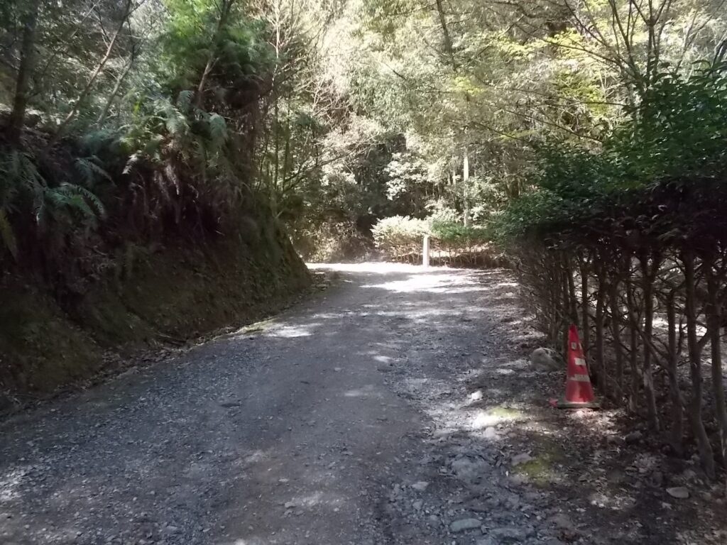 11：49　広い道です。