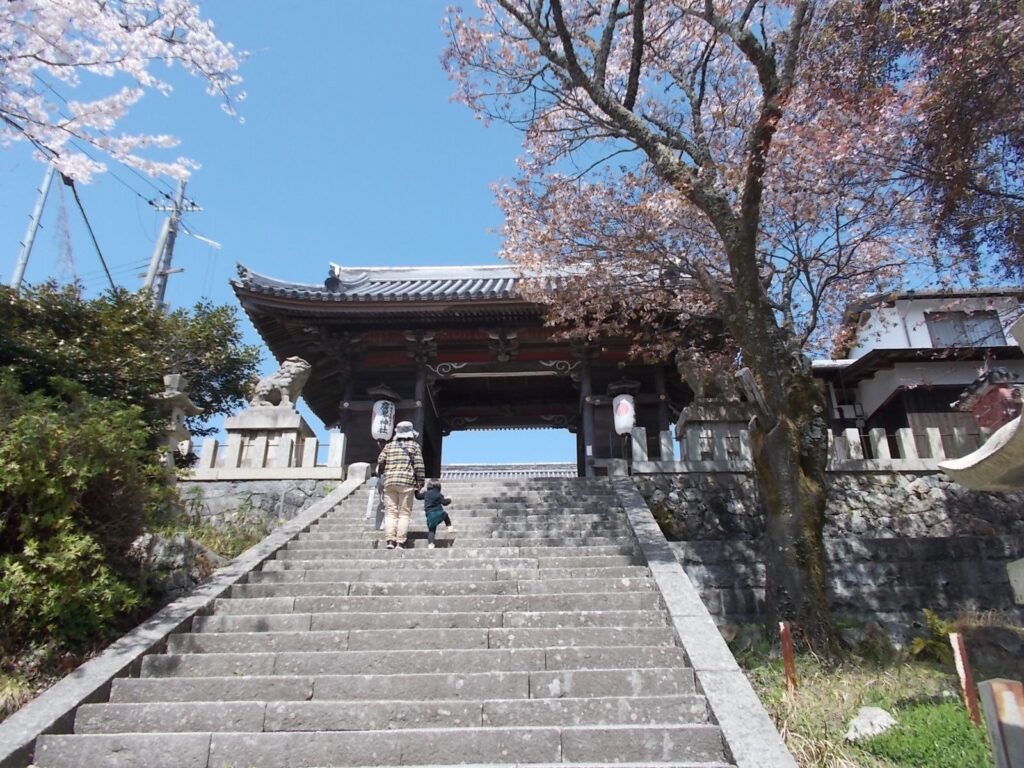 12：24　石段を下りて戻ります。
きれいな青空と桜でした。