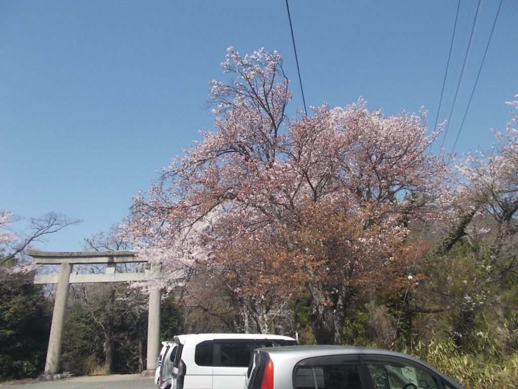12：29　鳥居のある広場