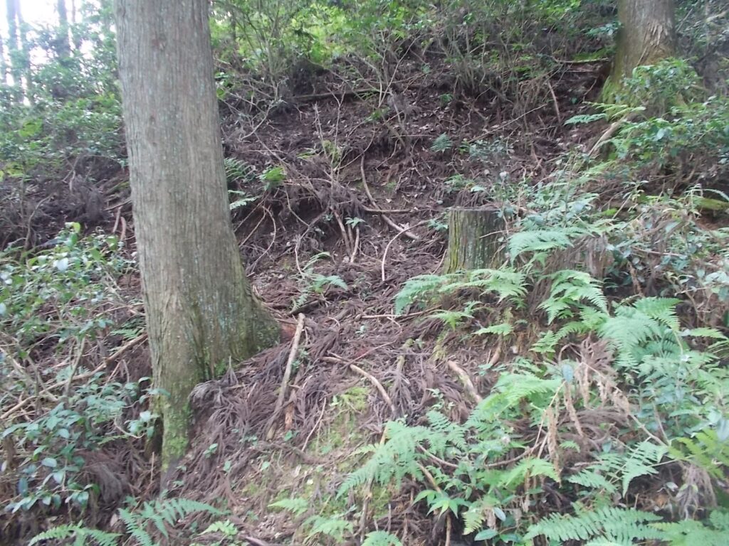 9：59　刈り取られた道を進むと行き止まり？左の斜面に進む。