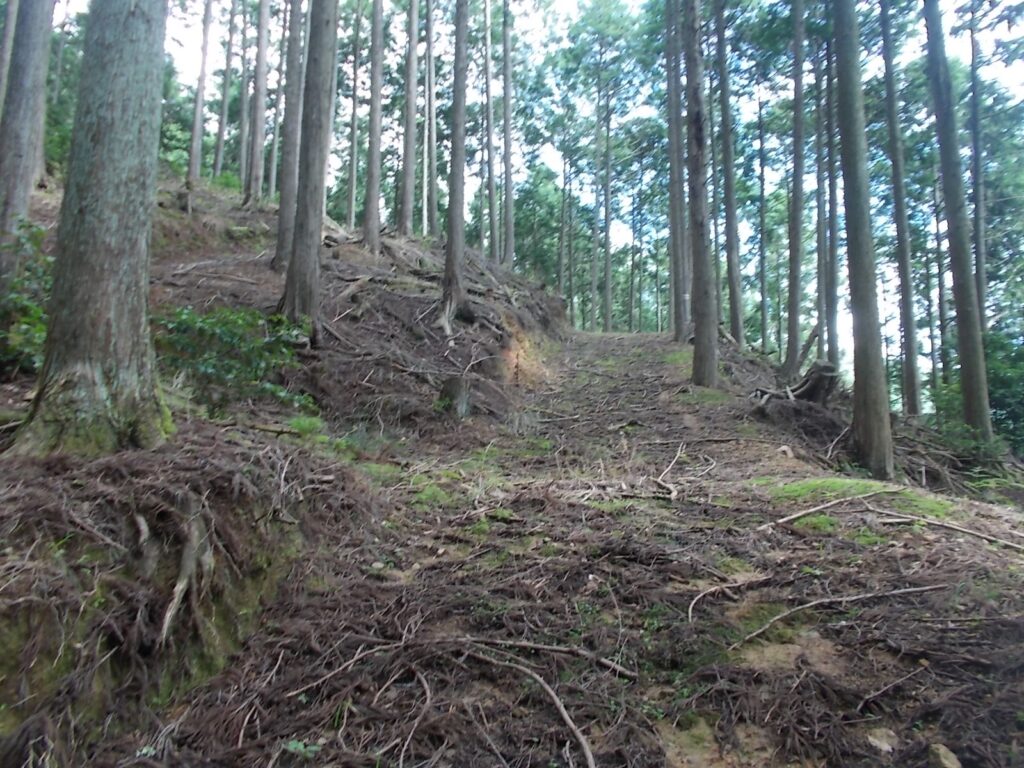 10：02　上ると林道へ出ました。この前を左へ。
まっすぐがよかった？