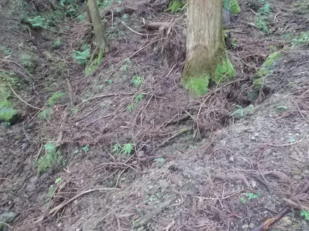 10：03　すぐに急斜面になり、とにかく進む。