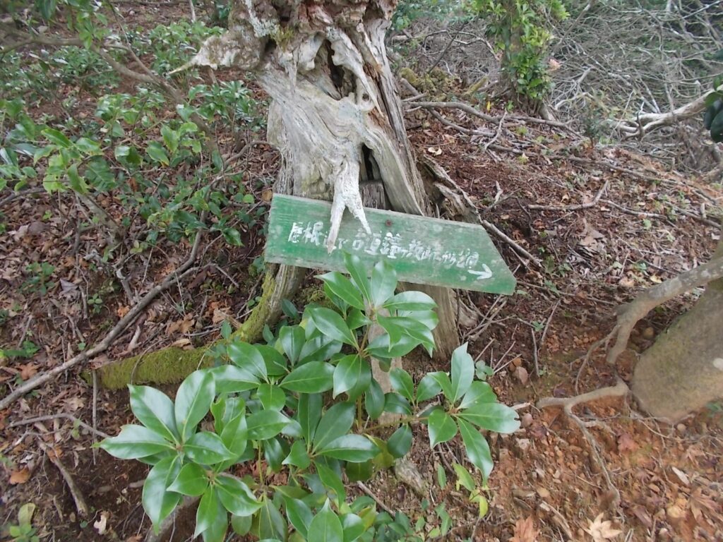 10：41　すぐにあった案内板。葉っぱと同化しています。ここで登山道に入ります。