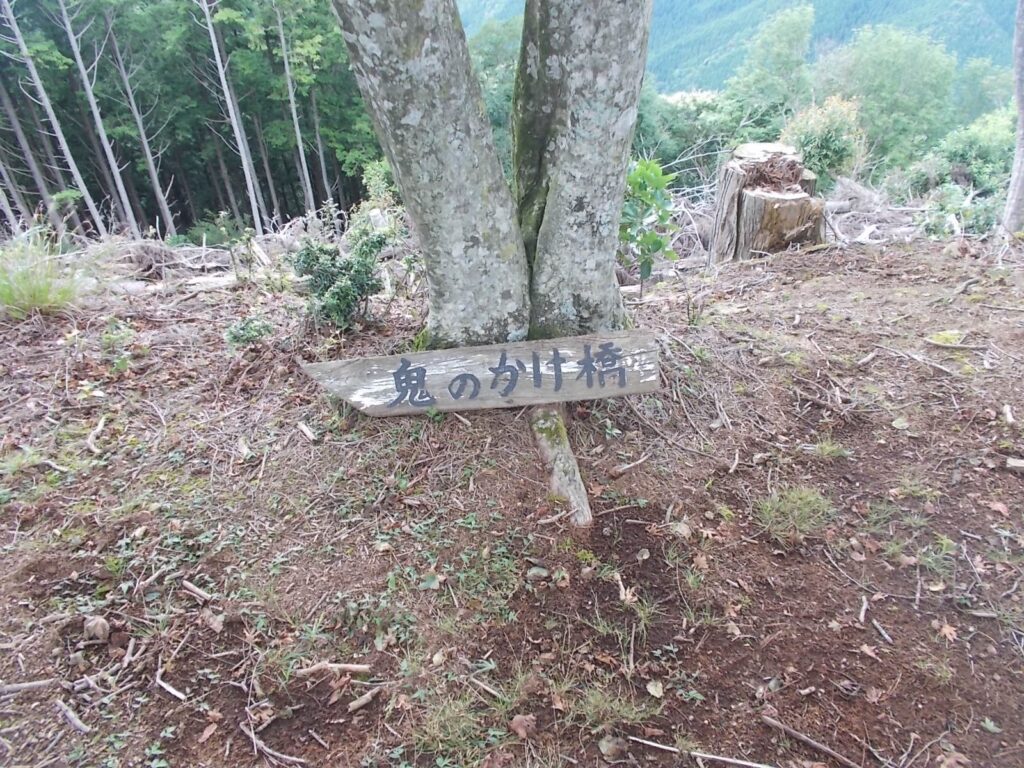 10：46　鬼のかけ橋に向かいます。