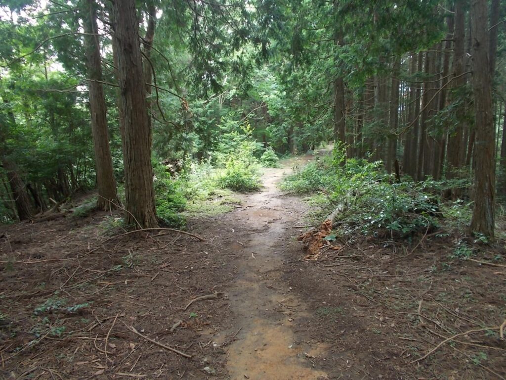 10：56　歩きやすい登山道