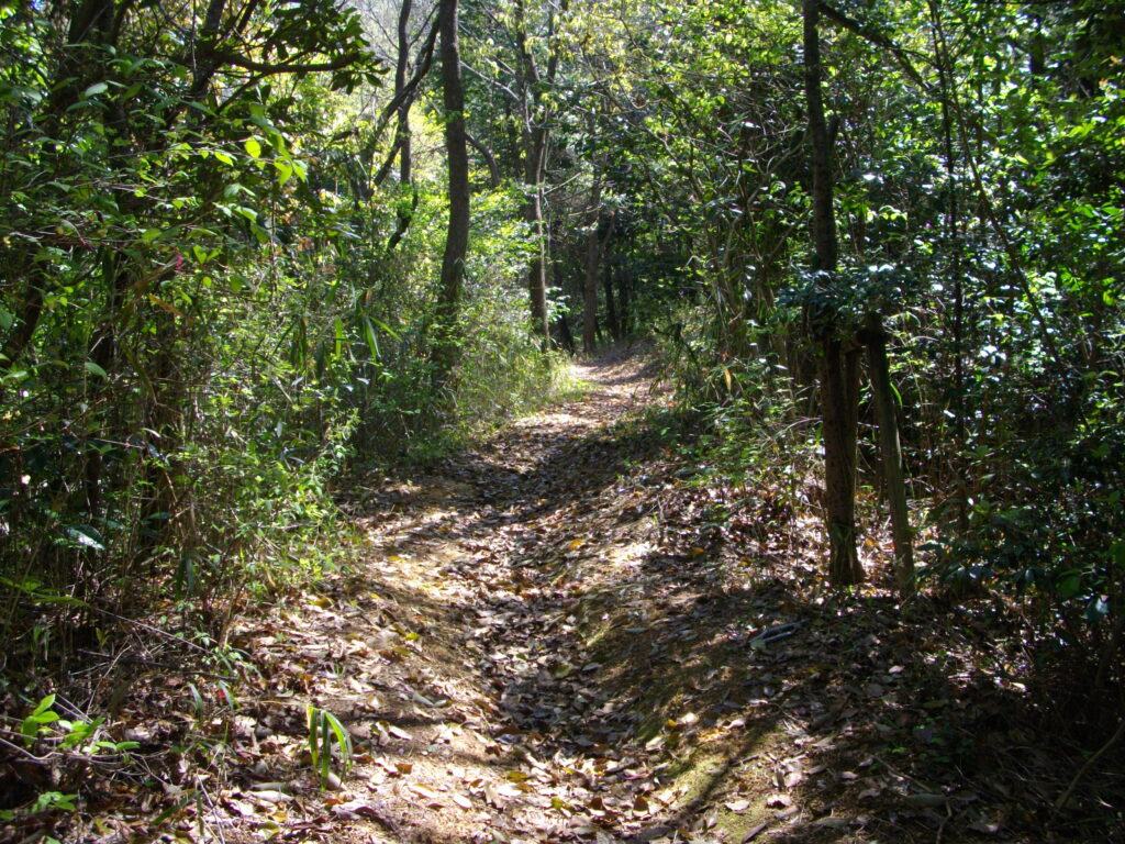 10：21　こんな感じの道を行きます。